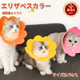 楽天市場 エリザベスカラー 猫の通販