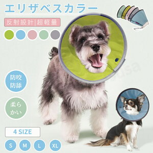 LpGUxXJ[ {^ lR L \tg ː݌v p㏝ی rߖh~ ~h~ ybgGUxXJ[ XgXy y Lp lR|XIyra43212z