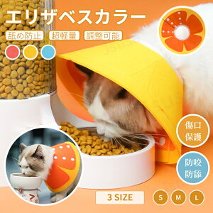 GUxXJ[ h[icJ[ {^ Lp GUxXJ[  ݂h~ y p ی p D rߖh~ XgXy Lp lR|XIyra43612z