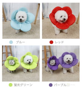 yyV1ʁz L \tgGUxXJ[ ybg GUxXJ[ ȒP veN^[ Lppi  p̏ی Em r h~ PK aC y  _炩 Ch 