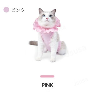 yyV1ʁzLpp㕞 L pEFA rߖh~ p  D   Lpp㕞 lR Lbg rߖh~ ~h~ іh~ 畆ی IX X ӂ萶n LpG