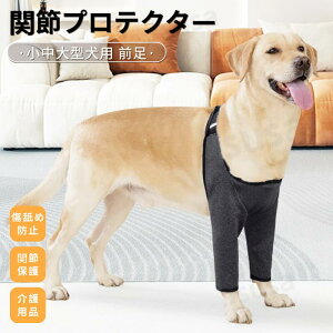 ^pGT|[^[ p֐߃veN^[ OveN^[ ֐ߕیŒ nr Iănr ЂpV h~ V pi ybgPA OT|[^[ ی