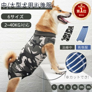 大型 犬 おむつの人気商品 通販 価格比較 価格 Com
