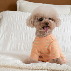 yyV1ʁzp Lpp㕞 菬^p ̎q/j̎q Yp lr p㒅 pEFA r߂Ȃ GUxXJ[ Dp /畆/ی ̉앞 lR|X