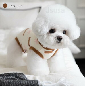 pp㕞 Lpp㕞 Nђg Ȃ Ck lR Lbg p㕞 p㒅 r߂Ȃ 畆 D  ނ jp  p㕞 D 畆ی p[X Ȃ Jo[I[ I