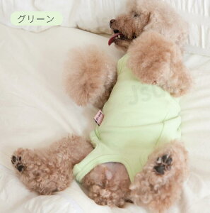 yyV1ʁzp㕞 p Lp ^p ̎q p lr p㒅 pEFA r߂Ȃ GUxXJ[ D  p /畆/ی ̉앞 pJo[  Jo[I[