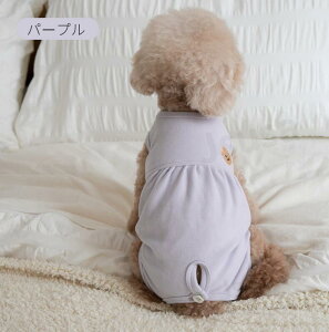 yyV1ʁzp㕞 p Lp ^p ̎q p lr p㒅 pEFA r߂Ȃ GUxXJ[ D  p /畆/ی ̉앞 pJo[  Jo[I[