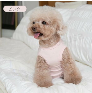 yyV1ʁzp㕞 p Lp ^p ̎q p lr p㒅 pEFA r߂Ȃ GUxXJ[ D  p /畆/ی ̉앞 pJo[  Jo[I[