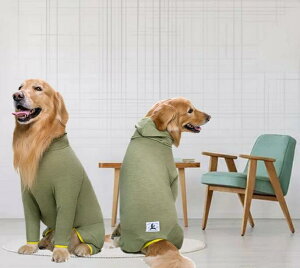 yyV1ʁz^ppEFA Ckp㕞  p㒅 ё΍  p  O㑫 hۉ ̏ی rߖh~ GUxXJ[ɑ Dp 畆ی jp  