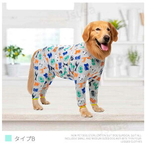 yyV1ʁz/^ppEFA  Ckp㕞  p  p㒅 O㑫 ̏ی rߖh~ GUxXJ[ɑ Dp 畆ی jp ё΍ hۉ  