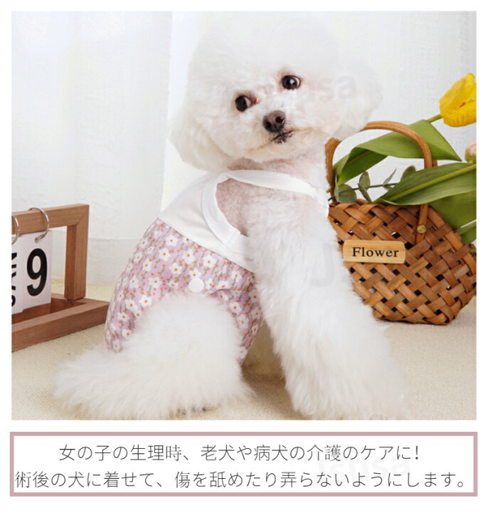楽天市場 楽天1位 クーポンで300円off 犬用介護服 マナーパンツ サニタリーパンツ マナーガード 男女兼用 小中型犬用 マナーパンツ 生理用 パンツ 介護 おむつカバー ケアパンツ 術後服着術後ウェア ネコポス送料無料 Ra Js U S A