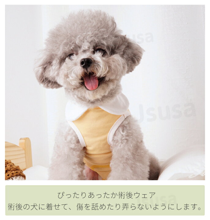 楽天市場 楽天1位 クーポンで300円off オシャレ 犬 術後服 女の子 男の子 避妊 去勢 手術後服 オス メス 傷舐め防止 術後ウエア 伸縮性 皮膚傷口保護 小中型犬 術後ウェア ペット服 エリザベスカラー ネコポス送料無料 Ra Js U S A 楽天市場 楽天1位 クーポンで300円off オシャレ 犬 術後服 女の子 男の子 避妊 去勢 手術後服 オス メス 傷舐め防止 術後ウエア 伸縮性 皮膚傷口保護 小中型犬 術後ウェア ペット服 エリザベスカラー ネコポス送料無料 Ra Js U S A