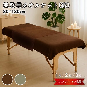 GXe ^IPbg GXe ^I ^IV[c  唻 oX^I ɂ Ɩp^I  100  80×180cm 1241 1 / 2 / 3 Zbg T^I  ^I uԋz xbh^I 