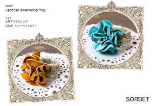 ySORBETzANEMONEOySR002zNIPPON VISION4ɑI΂ꂽRX`[ANZT[uhSORBET̖{vOfB[X/{v/w