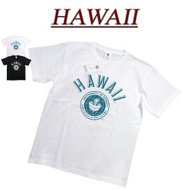【2色3サイズ】 je531 新品 HAWAII ハワイ大学 カレッジプリント 半袖 Tシャツ HWUS-011 メンズ UNIVERSITY OF HAWAII S/S COLLEGE T-SHIRT 【smtb-kd】