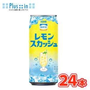 �_�C�h�[ ������ �������X�J�b�V�� 500ml �� 24�{�� �Y�_���� ���X�J ���ʏ`