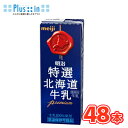 明治　特選北海道牛乳【200ml】×24本/2ケース 　紙パック200 まとめ買い/ケース販売/ブリック　北海道　牛乳　ミルク　milk　成分無調整