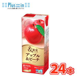 Gr[@ʎ Abvs[`@200ml×24{@pbNk~bNXW[X t[cW[X Abv s[` apple peachl