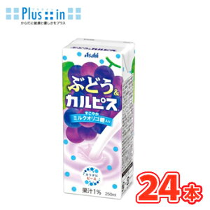 �G���r�[ �Ԃǂ����J���s�X�@�y250ml�z×24�{ �k���_�ۈ����@calpis�@����҂��@�J���s�X�@�u�h�E�@�Ԃǂ��@�����@�O���[�v�@���p�b�N�l