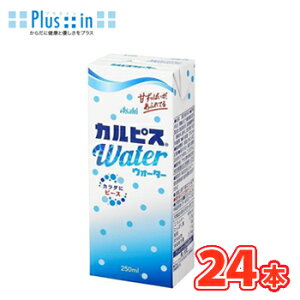 �G���r�[�@�J���s�X �E�H�[�^�[�y250ml�z×24�{�@�@�k���_�ۈ��� �������� ���������� ���p�b�N calpis �J���s�X�l