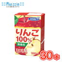 エルビー りんご100％ 125ml紙パック×30本〔LB　えるびー　ミリパック　濃縮還元　アップルジュース　リンゴジュース　りんご　林檎　リンゴ　果汁100%ジュース〕