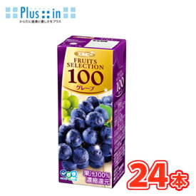 エルビー　フルーツセレクション グレープ100 【200ml×24本入】　紙パック〔果汁100％ ぶどうジュース グレープジュース〕