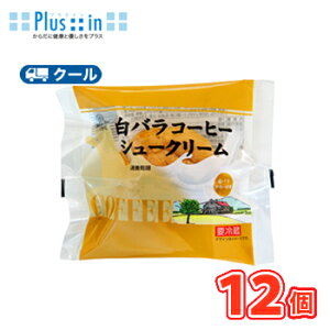 o R[q[V[N[ 12yN[ցz V[N[ mَq XC[c R[q[ XC[c @zCgf[@Ԃ@̓@̓@lC