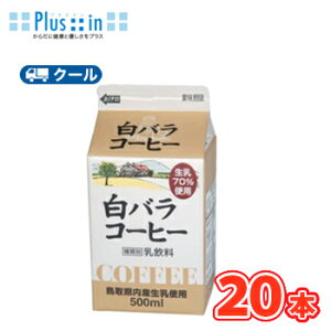 o R[q[y500ml×20{z N[/Y///R/_ EYsgp