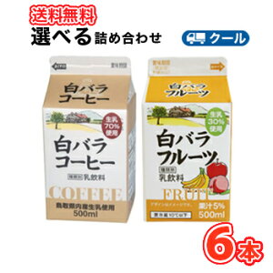 白バラコーヒー」の人気商品一覧・価格比較 - 価格.com