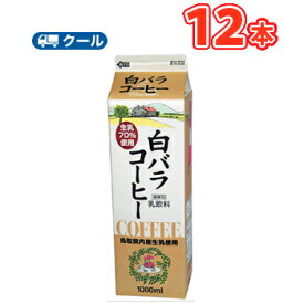 白バラコーヒー【1000ml×12本】 クール便