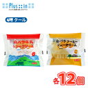 【エントリーでポイント10倍！】白バラ 牛乳 シュークリーム/コーヒーシュークリームセット 各12個【クール便】 シュ…