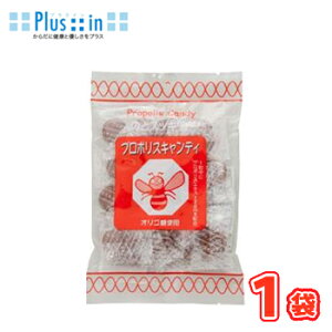 \[L v|XLfB 100g×1/ʕ yh{⏕H v|X    A LfB ̂ǈ jbL g[z