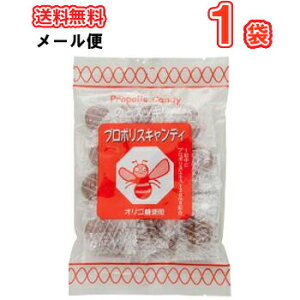ソーキ プロポリスキャンディ 100g×1袋/メール便 【栄養補助食 プロポリス おやつ あめ 飴 アメ キャンディ のど飴 ニッキ メントール】