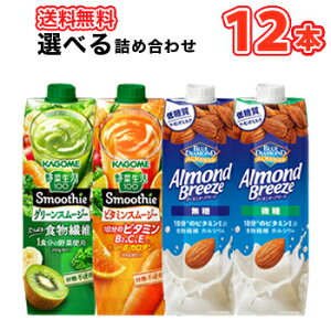 JS Iׂ X[W[ A[hEu[Y@1000g@pbN (6{2Iׂ)v12{Zbg ؐ100 X[W[ Smoothie O[ r^~ A[hu[Y  