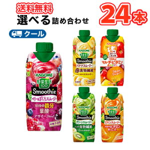 JS IׂX[W[ 330mlpbN (12{2Iׂ)24{Zbg/2P[X ؐ100 X[W[ Smoothie H@ LEC r^~I ǂ