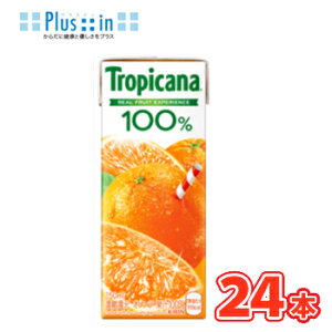 L@gsJ[i 100 IW 250ml ×24{ pbNkʎ@t[c@񂶁@IW@orenge@KIRIN@Ll