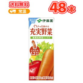 伊藤園 充実野菜 緑黄色野菜ミックス　【200ml】×24本/2ケース （野菜ジュース）紙パック　〔野菜ジュース β-カロテン〕