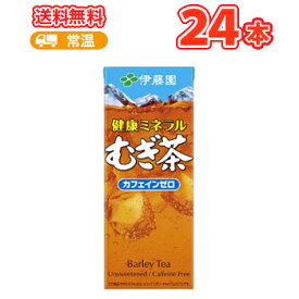 伊藤園 健康ミネラルむぎ茶 250ml×24本入 紙パック〔カフェインゼロ 麦茶 無香料 無着色〕