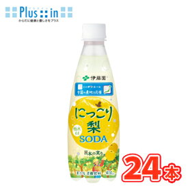 伊藤園 にっこり梨 ソーダ 栃木県産 410ml×24本入 PET　果汁　梨　なし　ソーダ　soda　ニッポンエール