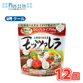 南日本酪農協同 デーリィ 北海道日高乳業モッツァレラチーズ ひとくち 96g×6袋 ×2【クール便】 南日本酪農協同 デーリィ