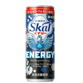 南日本酪農　スコールエナジー250ml×20本入/2ケース　缶 〔デーリィ 愛のスコール Skal 炭酸飲料 スコール エナジードリンク〕