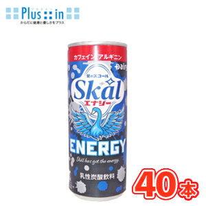 ����{���_�@�X�R�[���G�i�W�[250ml×20�{��/2�P�[�X�@�� �k�f�[���B ���̃X�R�[�� Skal �Y�_���� �X�R�[�� �G�i�W�[�h�����N�l