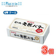 高千穂発酵バター 加塩　200g/3個 南日本酪農協同 デーリィクール便 まとめ買いバター 有塩　トースト 業…