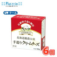 毎日牛乳　北海道酪農公社手造りクリームチーズ【100g×6個】クール便/チーズ　cheese　クリームチーズ