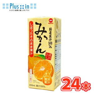 @Yʏ`100@݂@200ml× 24{@pbNk100% ݂ t[c ʏ` IW orange t[cW[Xl