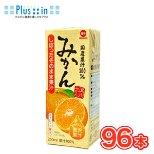 ���������@���Y�ʏ`100���@�݂���@200ml× 24�{��/4�P�[�X�@���p�b�N�k100% �݂��� �t���[�c �ʏ` �I�����W orange �t���[�c�W���[�X�l