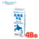 雪印　メグミルク　北海道牛乳【200ml×24本入】×2ケース紙パック 送料無料　〔北海道牛乳　生乳100％　成分無調整牛乳　牛乳〕