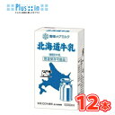 雪印　メグミルク　北海道牛乳【1000ml×12本入】紙パック 送料無料　〔1L　テトラ　大容量　ロングライフ業務用　大量　北海道牛乳　生乳100％　成分無調整牛乳　牛乳〕