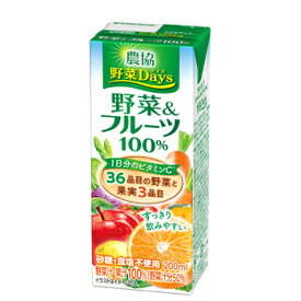 雪印　メグミルク　農協 野菜Days 野菜＆フルーツ100％ LL200ml×18本入　紙パック 　〔農協 野菜Days　野菜汁　果汁100％　野菜ジュース〕