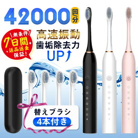 ＼一部即納／電動歯ブラシ 音波ブラシ 替えブラシ4本付き usb充電式 6モード 防水 歯石除去 歯垢除去 歯磨き 歯間